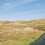 Tingodden Ix